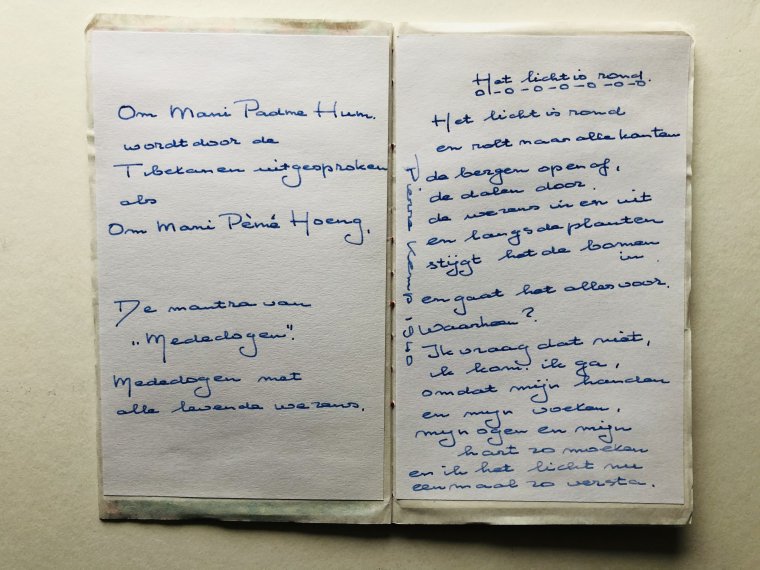 Anneke Broos (4)