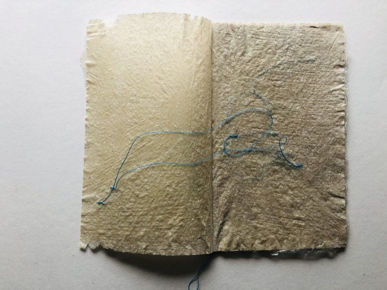 Annemiek Koolen (2)