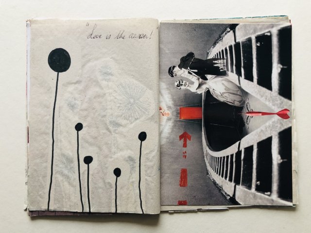 Daisy Schoonjans BEL (5)