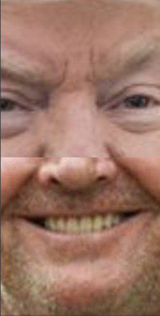 Ed Hanssen - collage - Donald J Nicholson - 2020