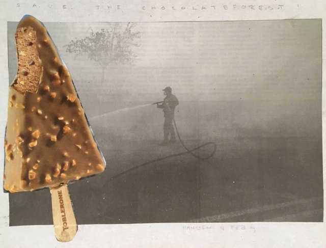 Ed Hanssen - collage met mandarijnenschil 2019