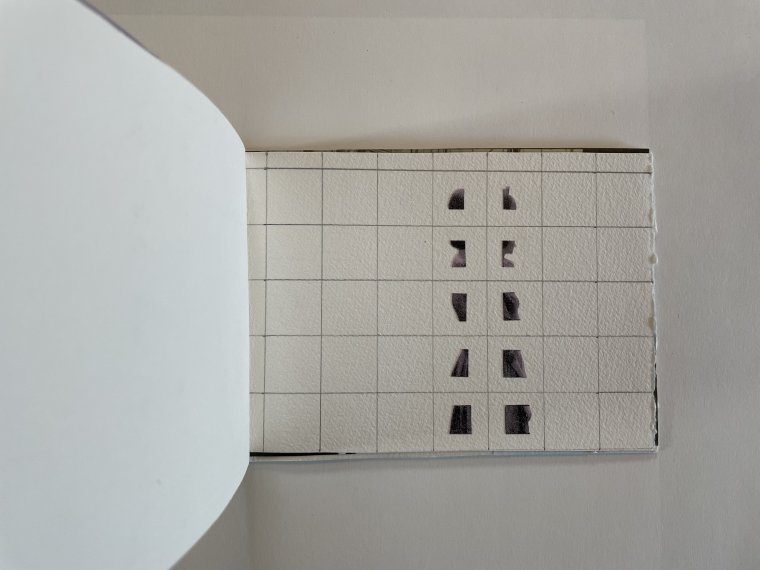 Elly Cox - PMAB (7)
