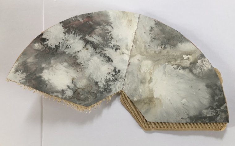 Kirstie Tebbs - UK - Used Roggel 2022 (3)