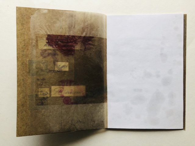 Lia Brouwer (3)