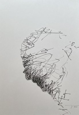 Martin R Baeyens (2)