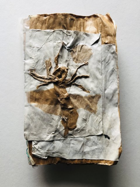 Mieke van Zundert (1)