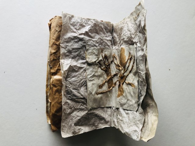 Mieke van Zundert (5)