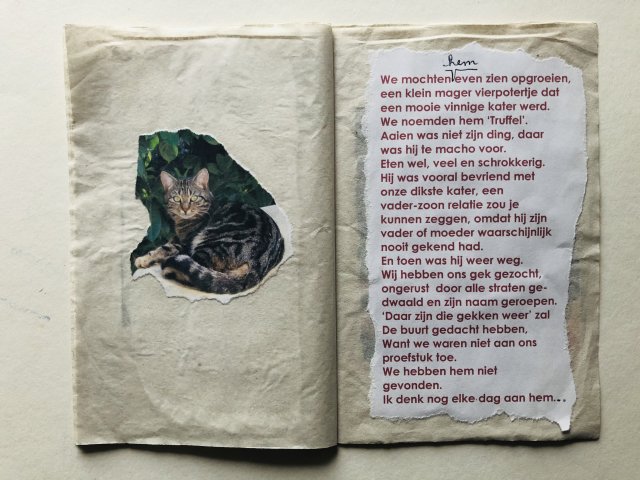 Monika Macken B (6)