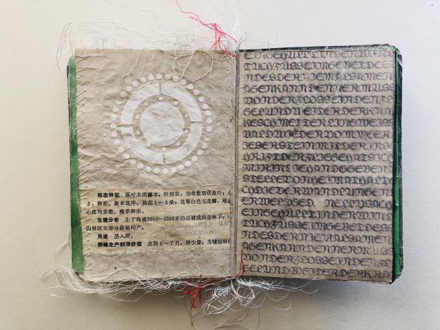 Mueller-Teschka (7)