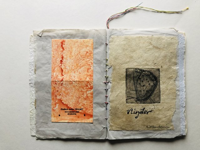 Nicole Henderiks (3)