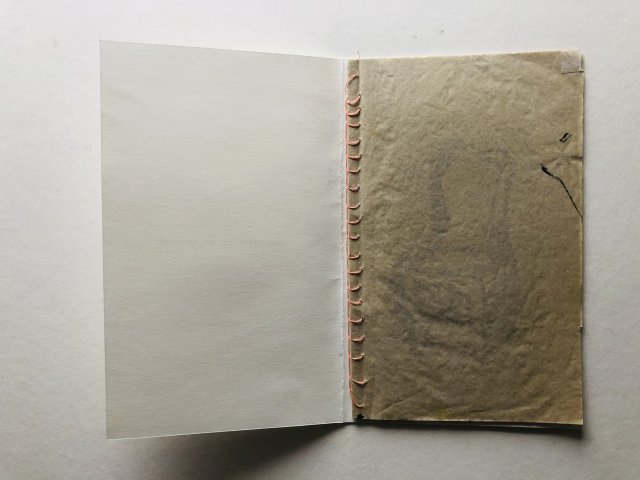 Noor van der Brugge (5)
