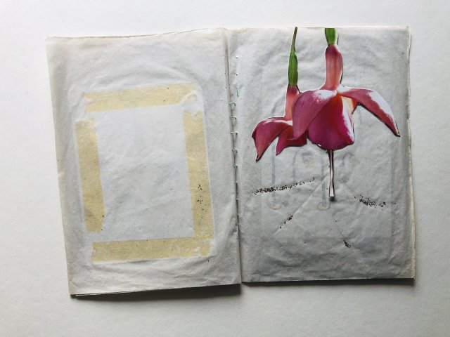 Reineke Mooijekind (4)