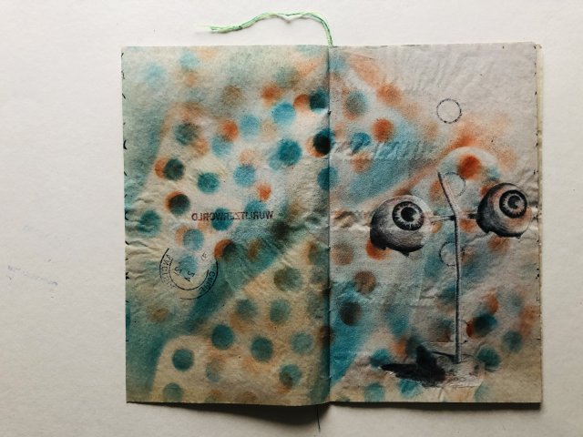 Sally Wassink 2