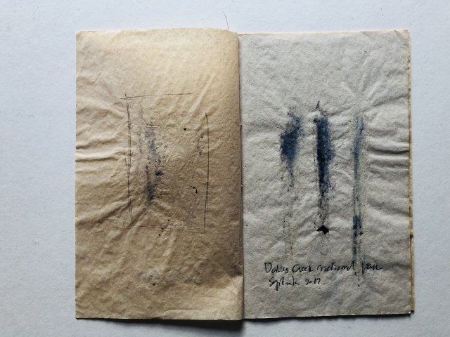 Tijn Meulendijks AUSTRALIA (9)